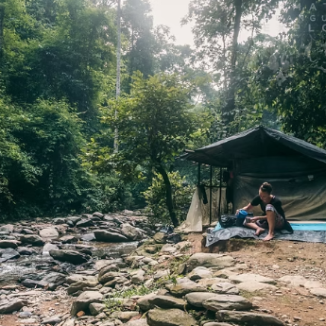 Camping Giungla (2)