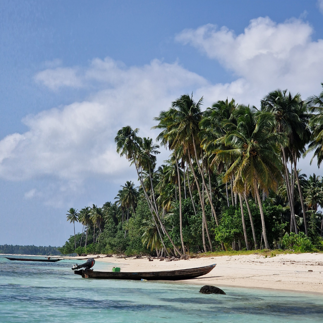 Mare Mentawai (2)
