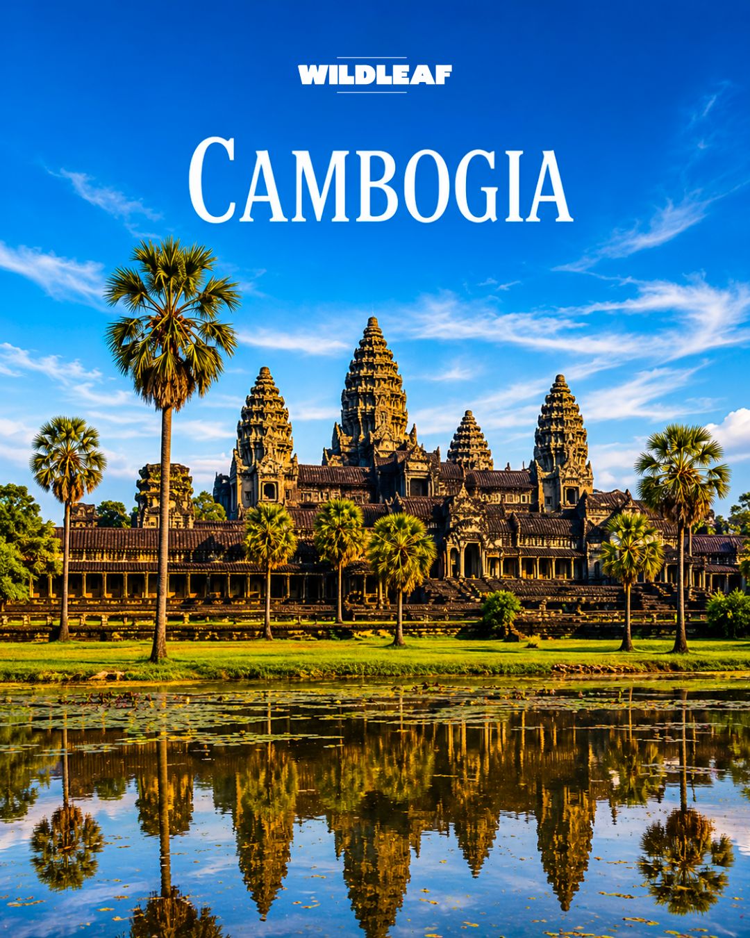 Cambogia