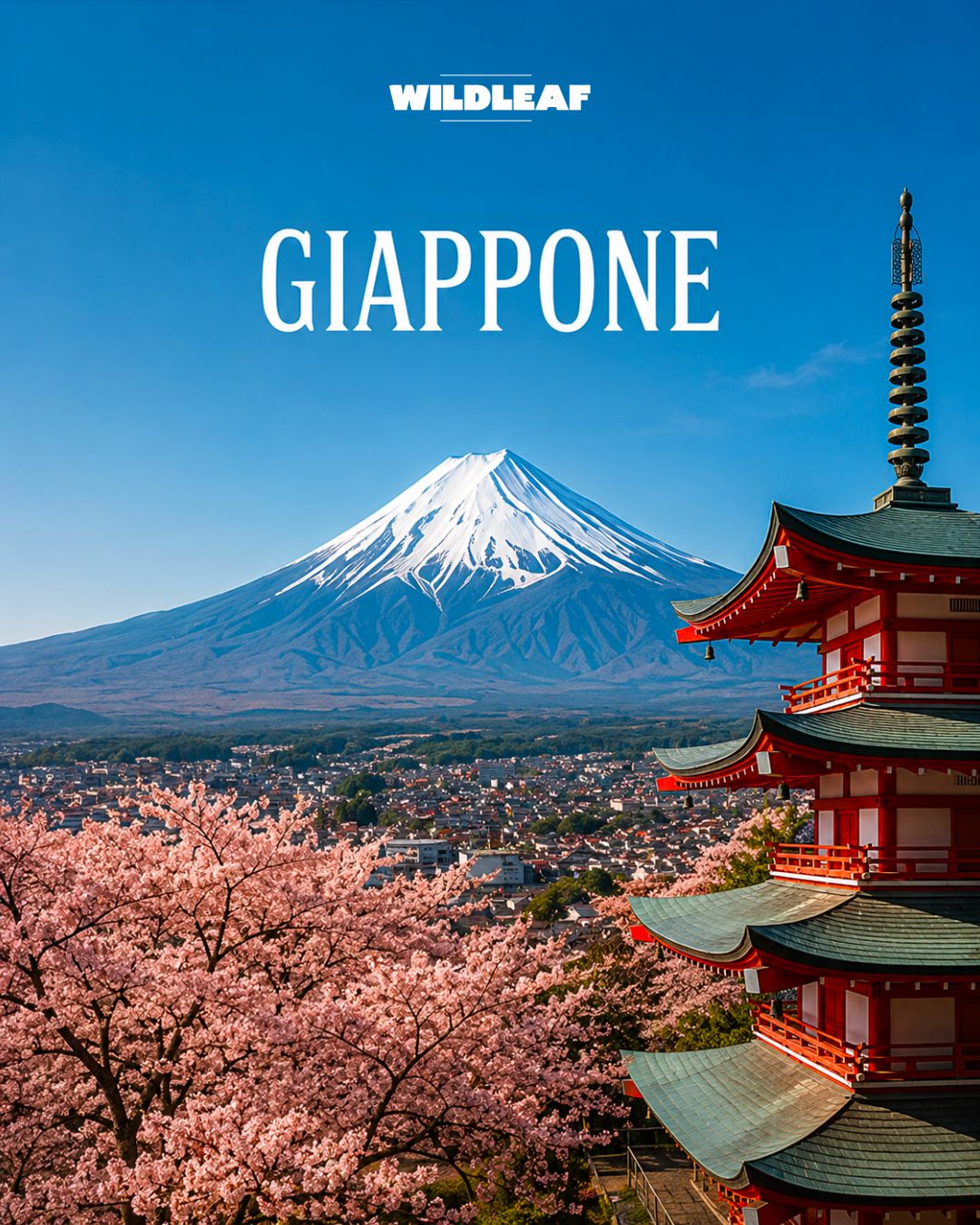 Giappone