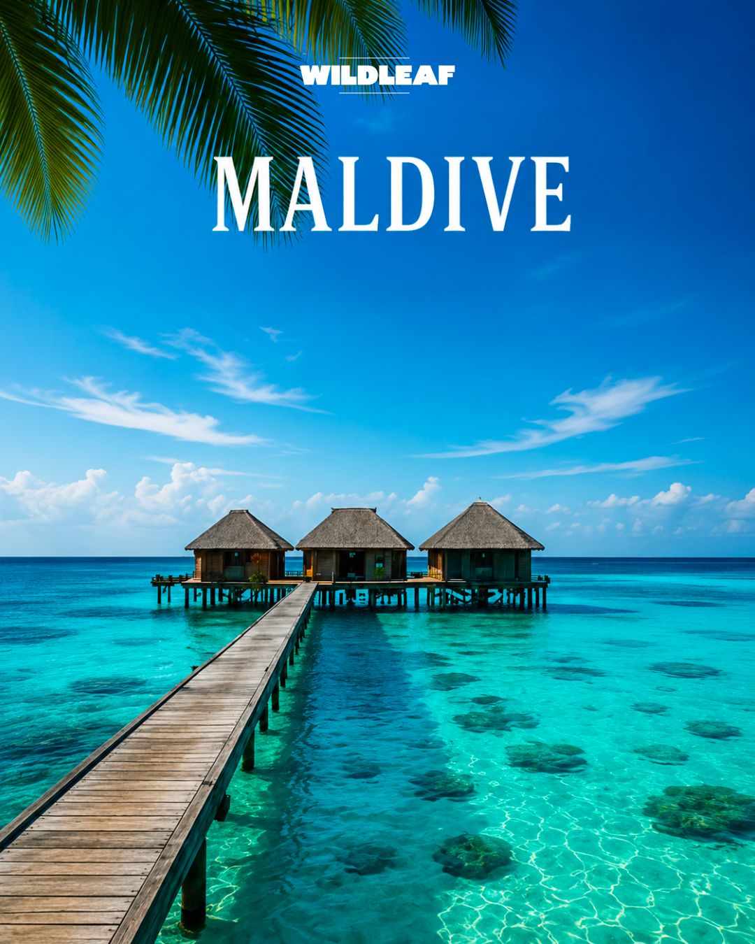 Maldive